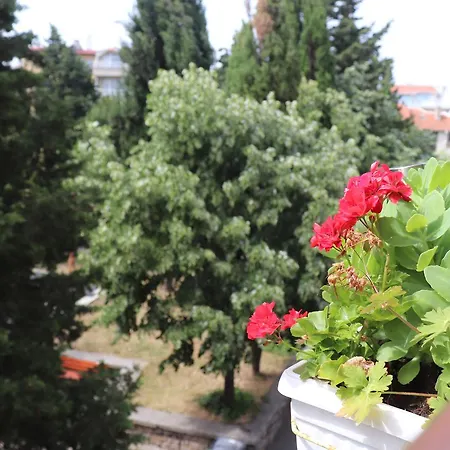 Terzievi Family House 3* סוזופול