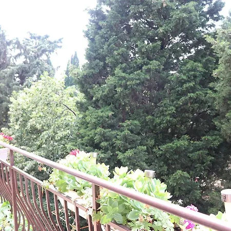 בית הארחה Terzievi Family House 3*