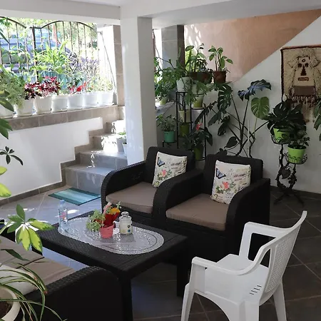 Terzievi Family House 3* סוזופול